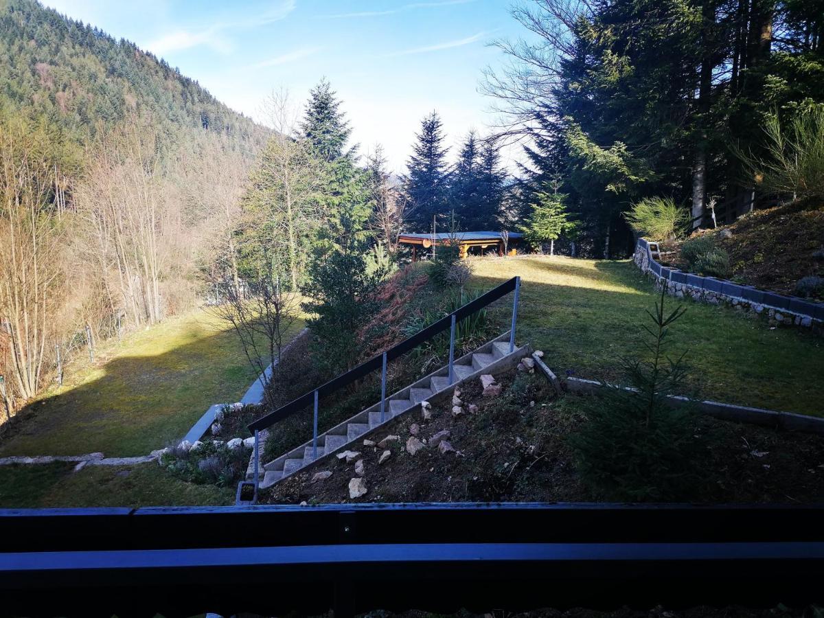 Villa Haus Schwarzwaldblick Hornberg Exterior foto
