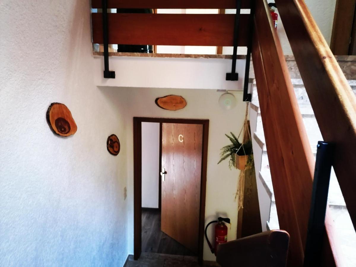 Villa Haus Schwarzwaldblick Hornberg Exterior foto