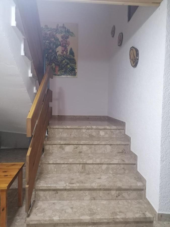 Villa Haus Schwarzwaldblick Hornberg Exterior foto